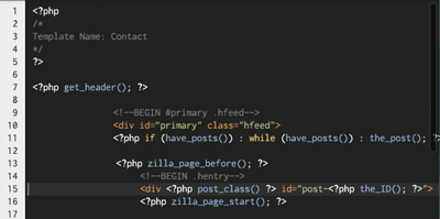 programming skill