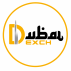 Dubai Exch247