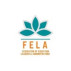 Fela Foundation