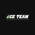 Ace Team  Painting Services