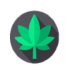 Green Angels